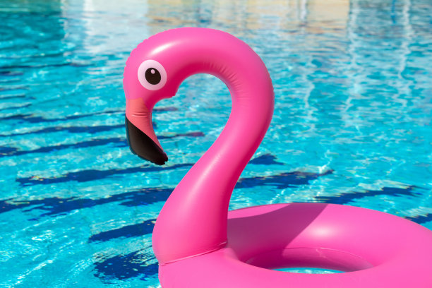热带的背景。粉红色的充气火烈鸟在游泳池的水为夏天的海滩背景。最小的夏天的概念。图片下载