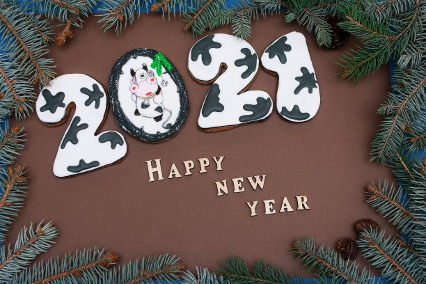 2021年新年快乐。姜饼牛或公牛。前视图。牛年。褐色背景上的云杉树枝图片下载