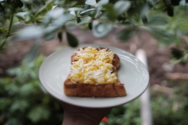 午餐吃甜玉米和象棋图片下载