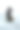 冬天坐在户外的年轻的德国牧羊犬。背后的观点。图片下载