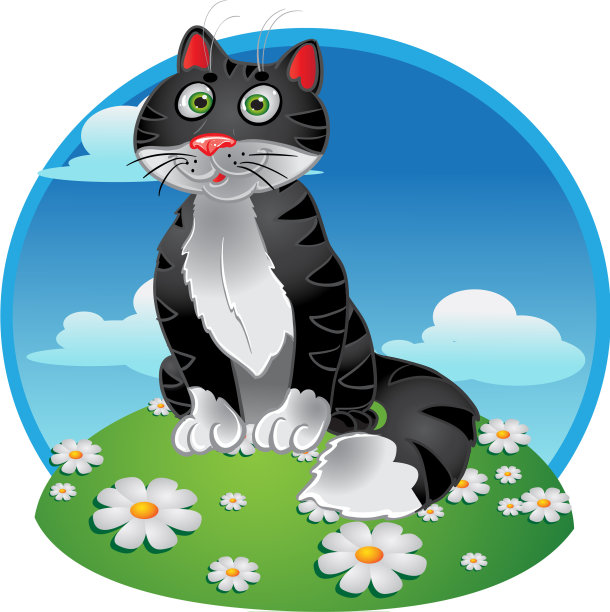 黑色有趣的坐在猫的颜色背景图片下载