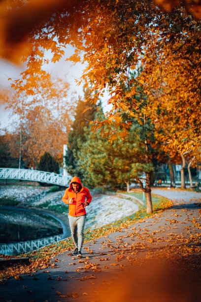 在公园里散步图片下载