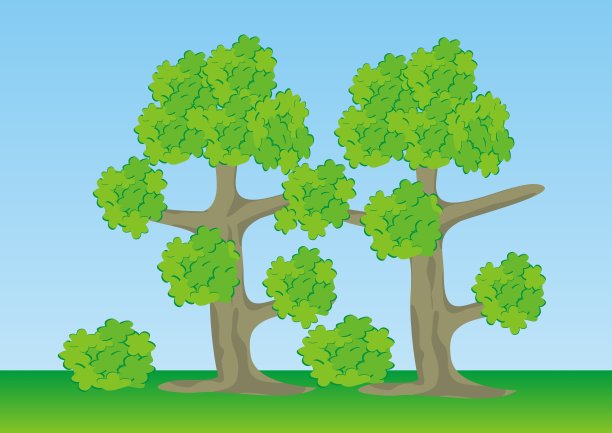 两棵树，橡树，彩色矢量插图图片下载