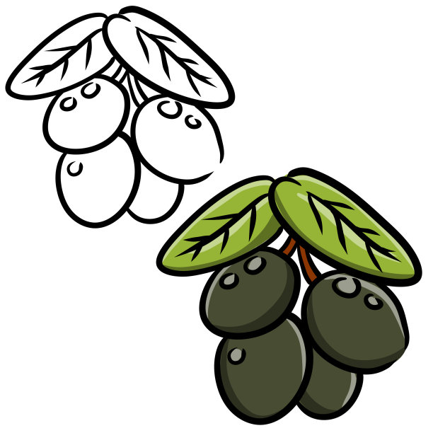 橄榄。有叶有枝的绿色蔬菜。油和健康的饮食。卡通插图孤立在白色图片下载