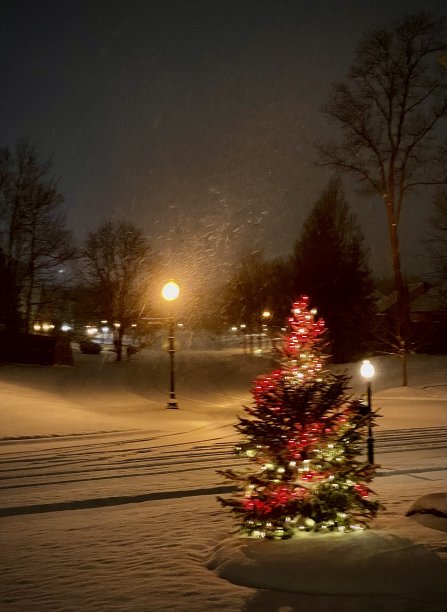 假日降雪在黎明背景图片下载