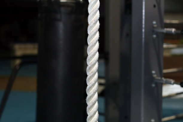 绳子挂在院子里的健身平台上图片下载