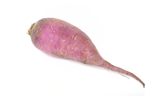白色背景上的紫色萝卜图片下载
