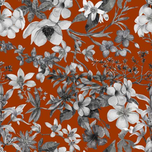 水彩手绘的热带树叶图片下载