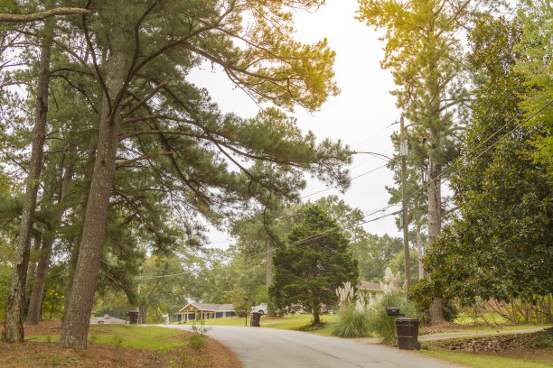 美国乔治亚州亚特兰大的中产阶级社区建筑图片下载
