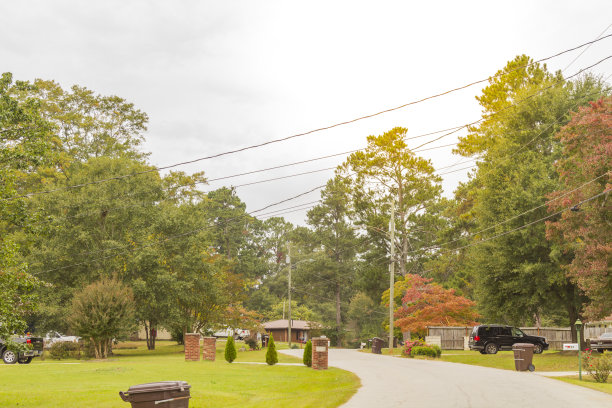 美国乔治亚州亚特兰大的中产阶级社区建筑图片下载
