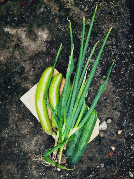 蔬菜图片下载