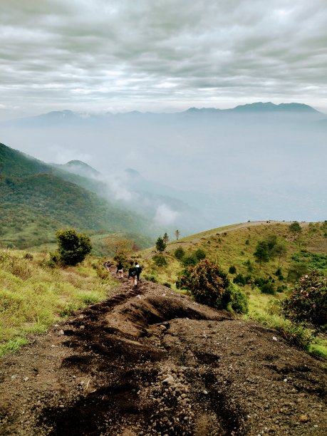 山沃克图片下载