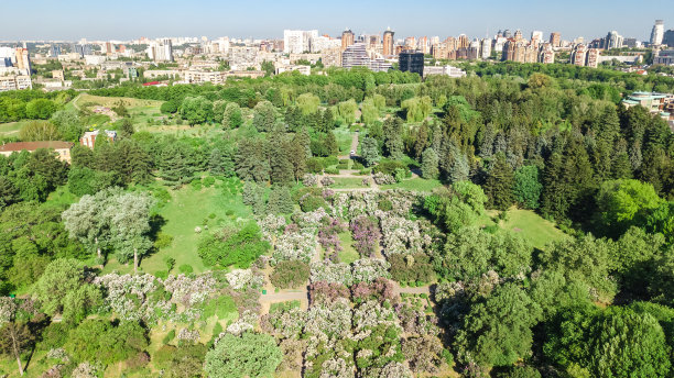 鸟瞰基辅城市和植物园公园从上面，盛开的丁香和基辅城市景观，乌克兰图片下载