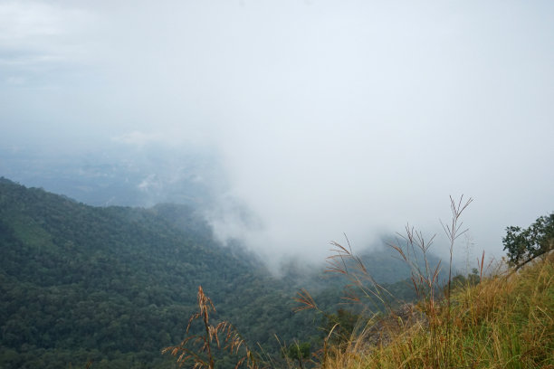 碧绿的山脉，阴天的自然景观图片下载