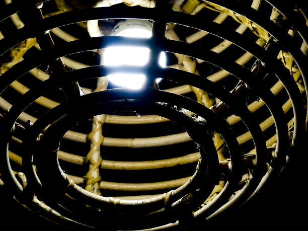 灯饰用藤条图片下载