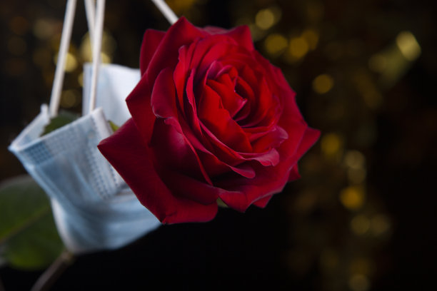 图像的花面具黑暗的背景图片下载