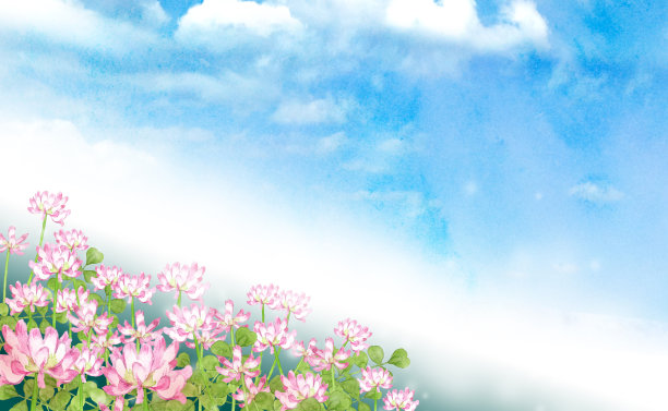 水彩画紫菀田图片下载