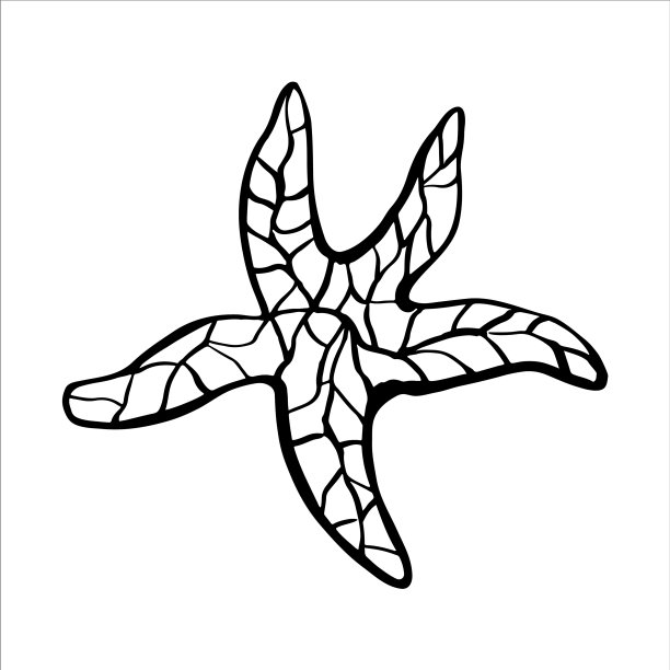 海星黑线白图片下载