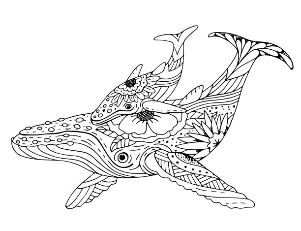 涂色书家族的鲸鱼图片下载