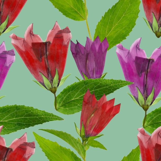 蓝铃,风铃草,风铃草属植物。插图，花的纹理。无缝模式。花卉背景，照片拼贴制作的纺织品，棉织品。壁纸,覆盖。图片下载