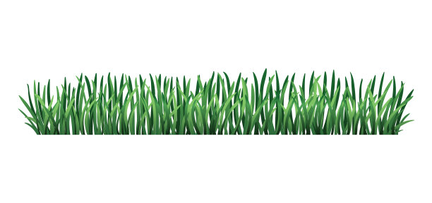 绿草如茵，绿草如茵，绿草如茵图片下载