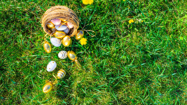 复活节彩蛋篮子。金蛋与黄色的春花在庆祝篮子在绿色的草地背景。复活节装饰，极简的蛋箔设计，现代的设计模板。图片下载