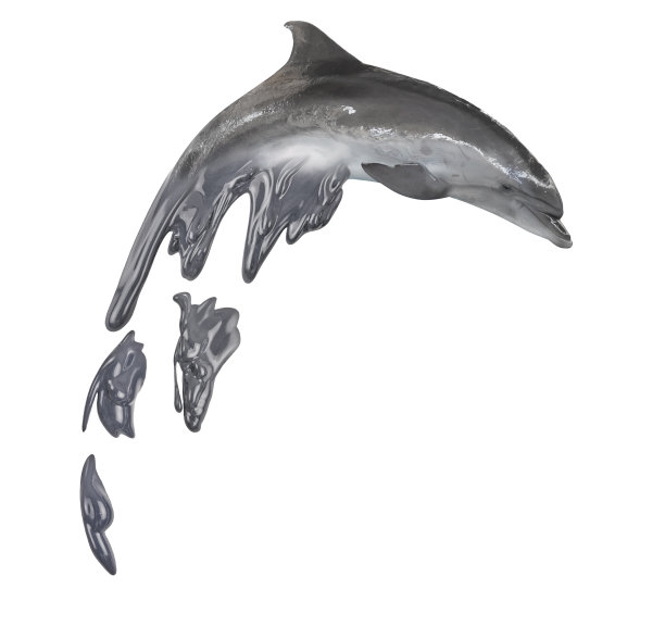 灰色多普林与金属色滴孤立在白色图片下载