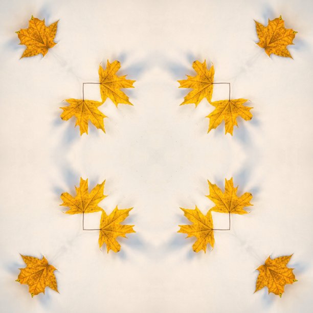 枫叶下降。秋天的背景和纹理图片下载