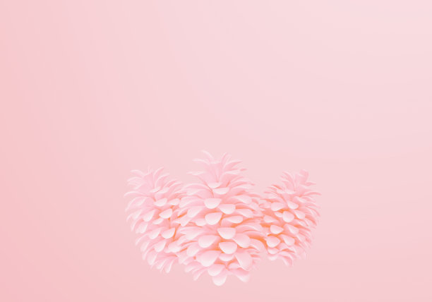 装饰浅粉色松球与复制空间，3d渲染图片下载