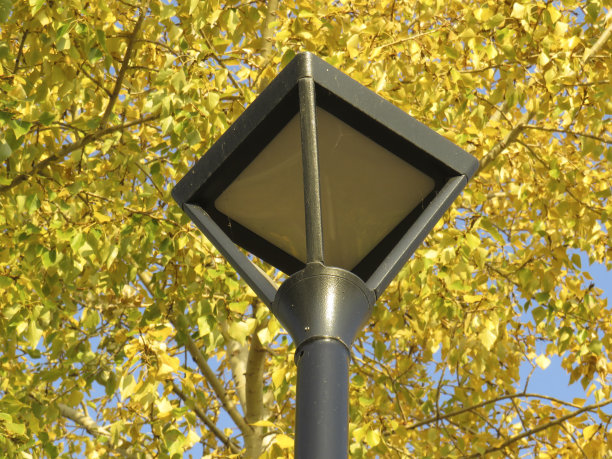 一个菱形的金属街灯，背景是秋天公园里黄色的树叶图片下载
