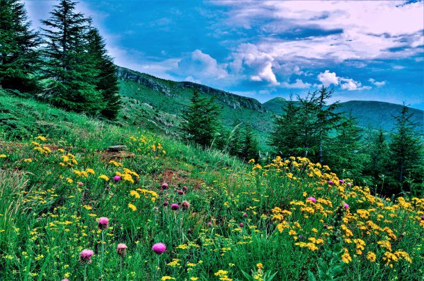土耳其，安纳托利亚中部，高原。图片下载