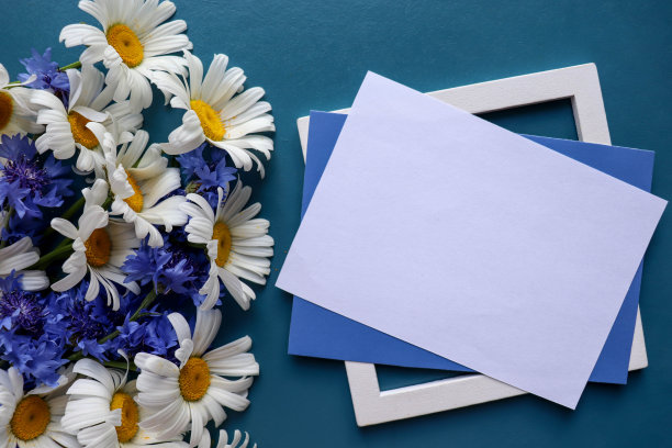 一束蓝色背景的白色雏菊和一个信封图片下载