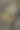 蘑菇奶油汤图片下载