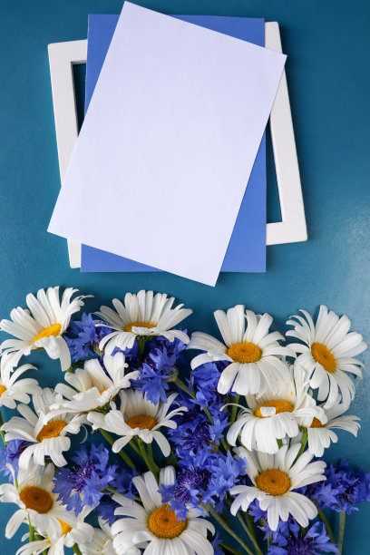 一束蓝色背景的白色雏菊和一个信封图片下载