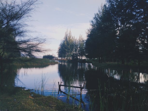 海龟海滩附近的风景图片下载