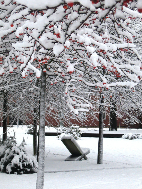 的座位图片下载