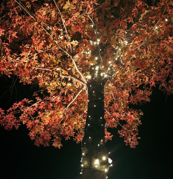 冬季仙境图片下载