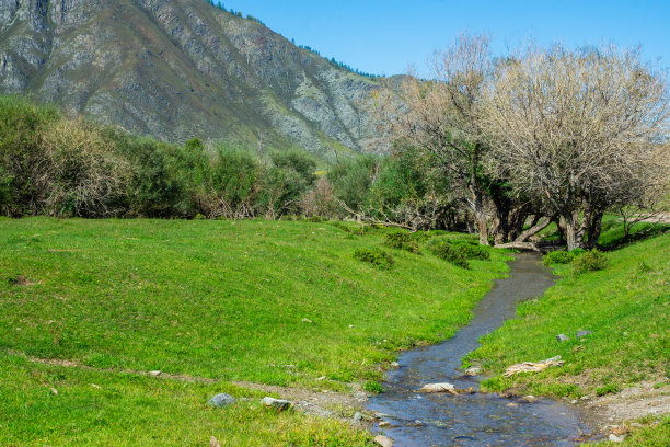 绿色的山谷景观和小河流与山脉的背景图片下载
