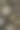 蘑菇奶油汤图片下载