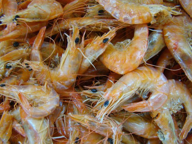 咸虾干图片下载