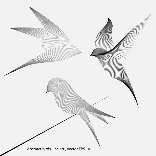 三个抽象的鸟在一个光的背景，线条艺术。图片下载