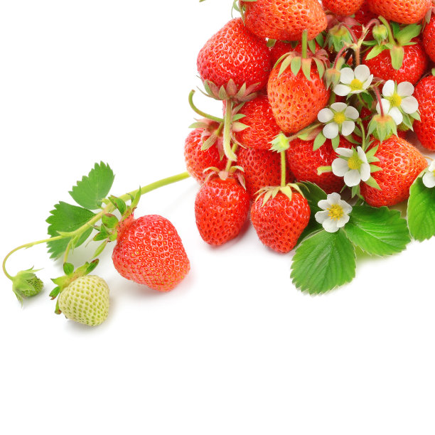 草莓孤立在白色背景上。文本的空闲空间。图片下载