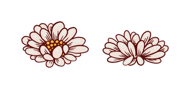 荷花在两个位置设置卡通矢量插图孤立。图片下载