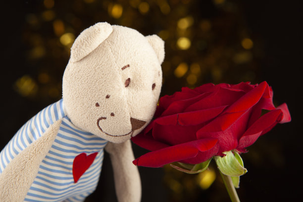 图片的花玩具熊的黑暗背景图片下载