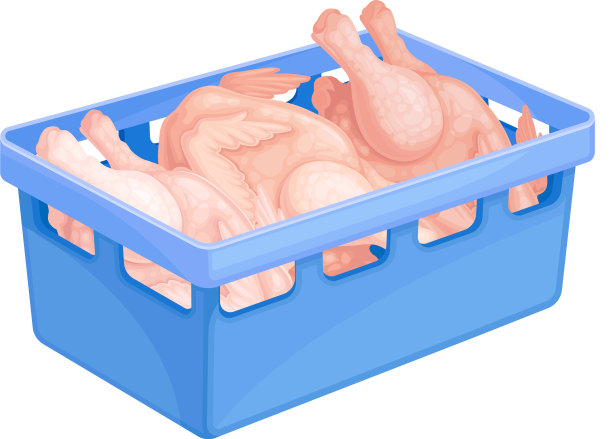 装在塑料筐里的生鸡肉图片下载
