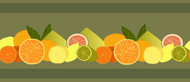 无缝隙载体边界与柑橘类水果。橘子、葡萄柚、柚子、青柠、柠檬。图片下载