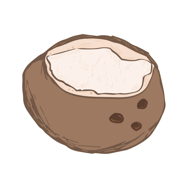 卡通椰子。简单的椰子素描图片下载