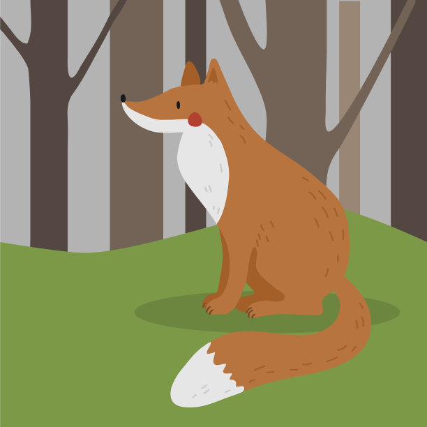 红狐狸坐在森林的草地上图片下载