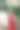 森林里的女画家。一个穿着红色裙子的女人，画了一幅，在夏天的自然公园里，树木为背景。画架和画笔。灵感和创造力。图片下载