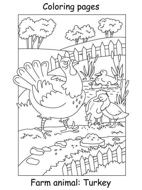 着色土耳其图片下载